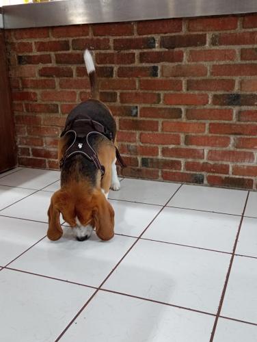 Pensez à prendre RDV !